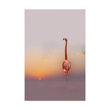 Anna Cseresnjes 'Sunset Flamingo' Canvas Art,12x19